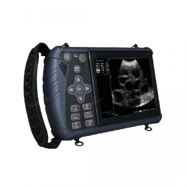 Ultrasound vet 4