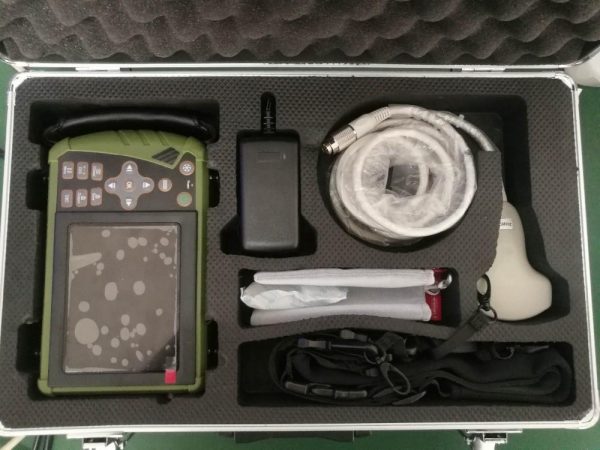 ultrasound vet